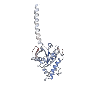 32128_7vuh_A_v1-1
Cryo-EM structure of a class A orphan GPCR