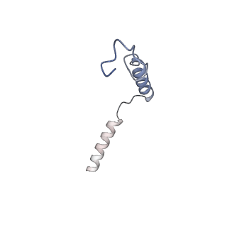 32128_7vuh_G_v1-1
Cryo-EM structure of a class A orphan GPCR