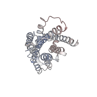 32128_7vuh_R_v1-1
Cryo-EM structure of a class A orphan GPCR