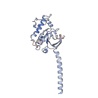 32129_7vui_A_v1-1
Cryo-EM structure of a class A orphan GPCR