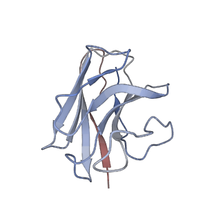 32129_7vui_N_v1-1
Cryo-EM structure of a class A orphan GPCR
