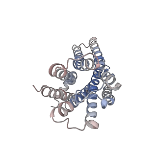 32129_7vui_R_v1-1
Cryo-EM structure of a class A orphan GPCR