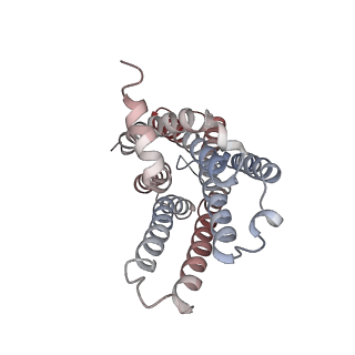 32130_7vuj_R_v1-1
Cryo-EM structure of a class A orphan GPCR