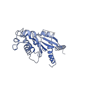 32131_7vuy_A_v1-1
Cryo-EM structure of pseudoallergen receptor MRGPRX2 complex with PAMP-12. state1