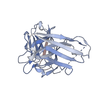 32131_7vuy_S_v1-1
Cryo-EM structure of pseudoallergen receptor MRGPRX2 complex with PAMP-12. state1