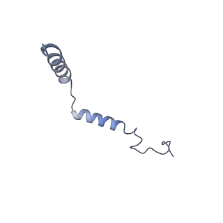 32132_7vuz_G_v1-1
Cryo-EM structure of pseudoallergen receptor MRGPRX2 complex with PAMP-12, state2