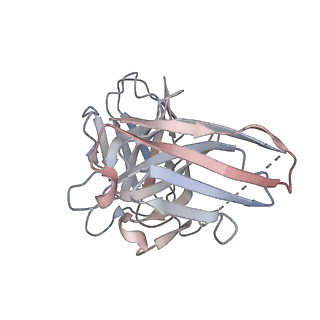 32132_7vuz_S_v1-1
Cryo-EM structure of pseudoallergen receptor MRGPRX2 complex with PAMP-12, state2