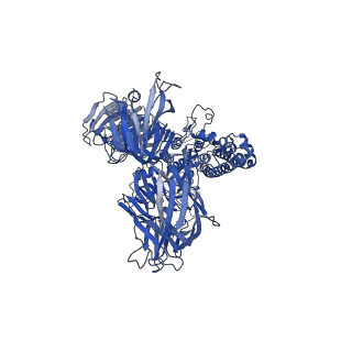 21391_6vv5_A_v1-0
Cryo-EM structure of porcine epidemic diarrhea virus (PEDV) spike protein