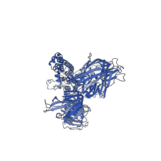 21391_6vv5_B_v1-0
Cryo-EM structure of porcine epidemic diarrhea virus (PEDV) spike protein