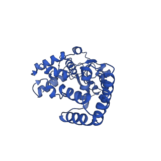 21405_6vvo_C_v1-1
Structure of the human clamp loader (Replication Factor C, RFC) bound to the sliding clamp (Proliferating Cell Nuclear Antigen, PCNA)