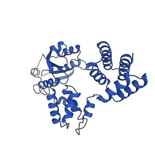 21405_6vvo_D_v1-1
Structure of the human clamp loader (Replication Factor C, RFC) bound to the sliding clamp (Proliferating Cell Nuclear Antigen, PCNA)