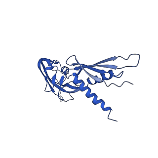 21406_6vvx_A_v1-2
Mycobacterium tuberculosis WT RNAP transcription initiation intermediate structure with Sorangicin