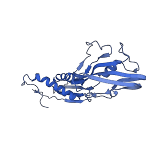 21406_6vvx_B_v1-2
Mycobacterium tuberculosis WT RNAP transcription initiation intermediate structure with Sorangicin