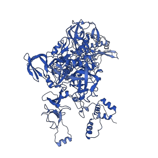 21406_6vvx_C_v1-2
Mycobacterium tuberculosis WT RNAP transcription initiation intermediate structure with Sorangicin