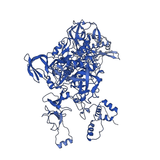 21406_6vvx_C_v1-3
Mycobacterium tuberculosis WT RNAP transcription initiation intermediate structure with Sorangicin