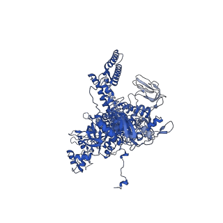 21406_6vvx_D_v1-2
Mycobacterium tuberculosis WT RNAP transcription initiation intermediate structure with Sorangicin