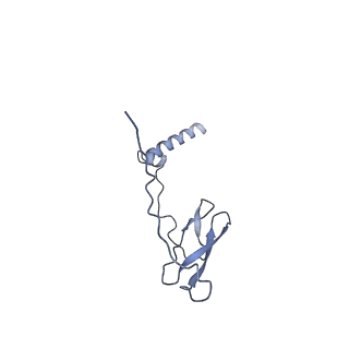 21406_6vvx_J_v1-2
Mycobacterium tuberculosis WT RNAP transcription initiation intermediate structure with Sorangicin