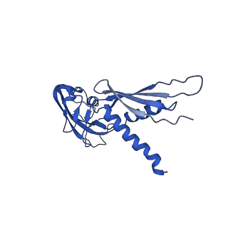 21407_6vvy_A_v1-2
Mycobacterium tuberculosis WT RNAP transcription open promoter complex with Sorangicin