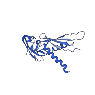 21407_6vvy_A_v1-3
Mycobacterium tuberculosis WT RNAP transcription open promoter complex with Sorangicin