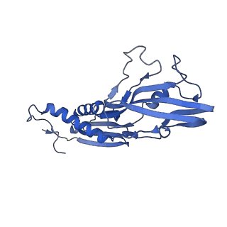 21407_6vvy_B_v1-2
Mycobacterium tuberculosis WT RNAP transcription open promoter complex with Sorangicin