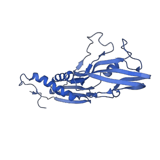 21407_6vvy_B_v1-3
Mycobacterium tuberculosis WT RNAP transcription open promoter complex with Sorangicin