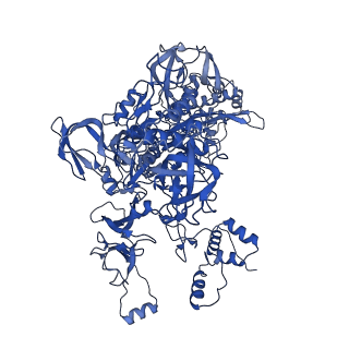 21407_6vvy_C_v1-2
Mycobacterium tuberculosis WT RNAP transcription open promoter complex with Sorangicin