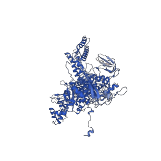21407_6vvy_D_v1-2
Mycobacterium tuberculosis WT RNAP transcription open promoter complex with Sorangicin