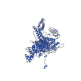 21407_6vvy_D_v1-3
Mycobacterium tuberculosis WT RNAP transcription open promoter complex with Sorangicin