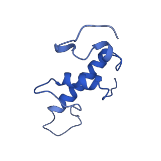 21407_6vvy_E_v1-3
Mycobacterium tuberculosis WT RNAP transcription open promoter complex with Sorangicin