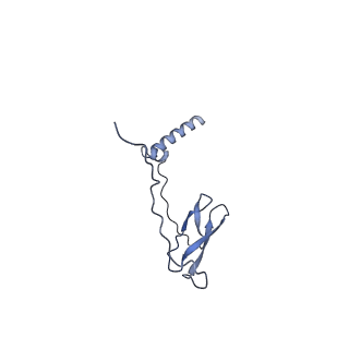 21407_6vvy_J_v1-2
Mycobacterium tuberculosis WT RNAP transcription open promoter complex with Sorangicin