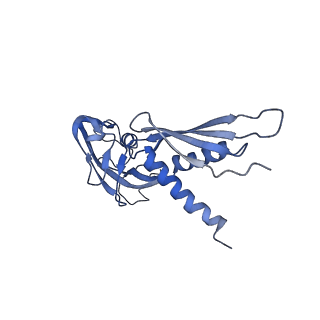 21408_6vvz_A_v1-2
Mycobacterium tuberculosis RNAP S456L mutant transcription initiation intermediate structure with Sorangicin