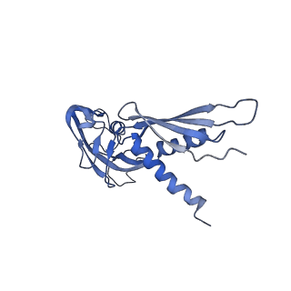 21408_6vvz_A_v1-3
Mycobacterium tuberculosis RNAP S456L mutant transcription initiation intermediate structure with Sorangicin
