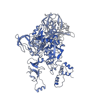 21408_6vvz_C_v1-2
Mycobacterium tuberculosis RNAP S456L mutant transcription initiation intermediate structure with Sorangicin