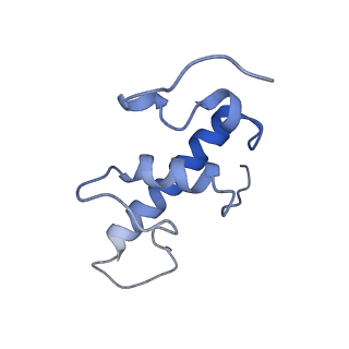 21408_6vvz_E_v1-2
Mycobacterium tuberculosis RNAP S456L mutant transcription initiation intermediate structure with Sorangicin