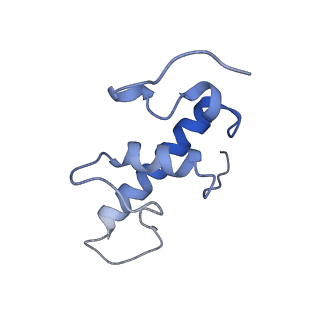 21408_6vvz_E_v1-3
Mycobacterium tuberculosis RNAP S456L mutant transcription initiation intermediate structure with Sorangicin