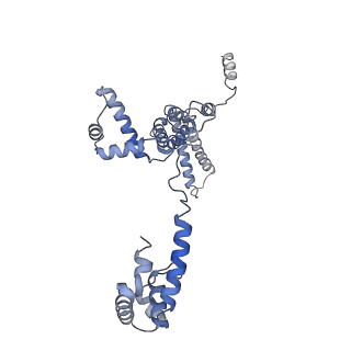 21408_6vvz_F_v1-2
Mycobacterium tuberculosis RNAP S456L mutant transcription initiation intermediate structure with Sorangicin