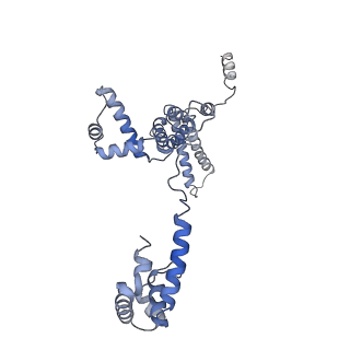 21408_6vvz_F_v1-3
Mycobacterium tuberculosis RNAP S456L mutant transcription initiation intermediate structure with Sorangicin