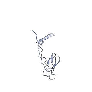 21408_6vvz_J_v1-2
Mycobacterium tuberculosis RNAP S456L mutant transcription initiation intermediate structure with Sorangicin