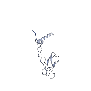 21408_6vvz_J_v1-3
Mycobacterium tuberculosis RNAP S456L mutant transcription initiation intermediate structure with Sorangicin