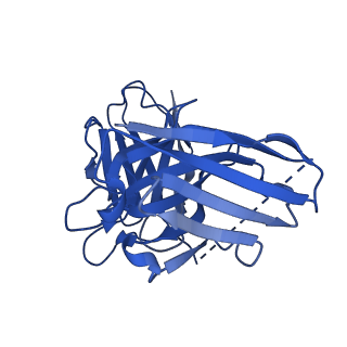 32136_7vv3_S_v1-1
Cryo-EM structure of pseudoallergen receptor MRGPRX2 complex with linear cortistatin-14