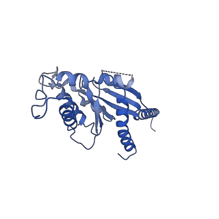 32138_7vv5_A_v1-1
Cryo-EM structure of pseudoallergen receptor MRGPRX2 complex with C48/80, state1