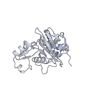 32148_7vvu_P_v1-3
NuA4 HAT module bound to the nucleosome