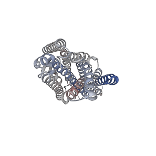 43548_8vv3_A_v1-0
Structure of the insect gustatory receptor Gr9 from Bombyx mori in complex with L-sorbose