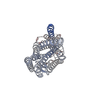 43548_8vv3_B_v1-0
Structure of the insect gustatory receptor Gr9 from Bombyx mori in complex with L-sorbose