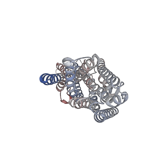 43548_8vv3_C_v1-0
Structure of the insect gustatory receptor Gr9 from Bombyx mori in complex with L-sorbose