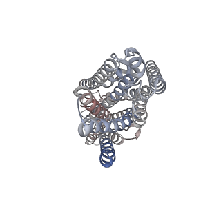 43548_8vv3_D_v1-0
Structure of the insect gustatory receptor Gr9 from Bombyx mori in complex with L-sorbose