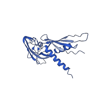 21409_6vw0_A_v1-2
Mycobacterium tuberculosis RNAP S456L mutant open promoter complex