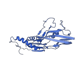 21409_6vw0_B_v1-2
Mycobacterium tuberculosis RNAP S456L mutant open promoter complex