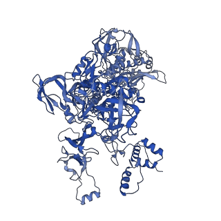 21409_6vw0_C_v1-2
Mycobacterium tuberculosis RNAP S456L mutant open promoter complex