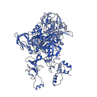 21409_6vw0_C_v1-3
Mycobacterium tuberculosis RNAP S456L mutant open promoter complex